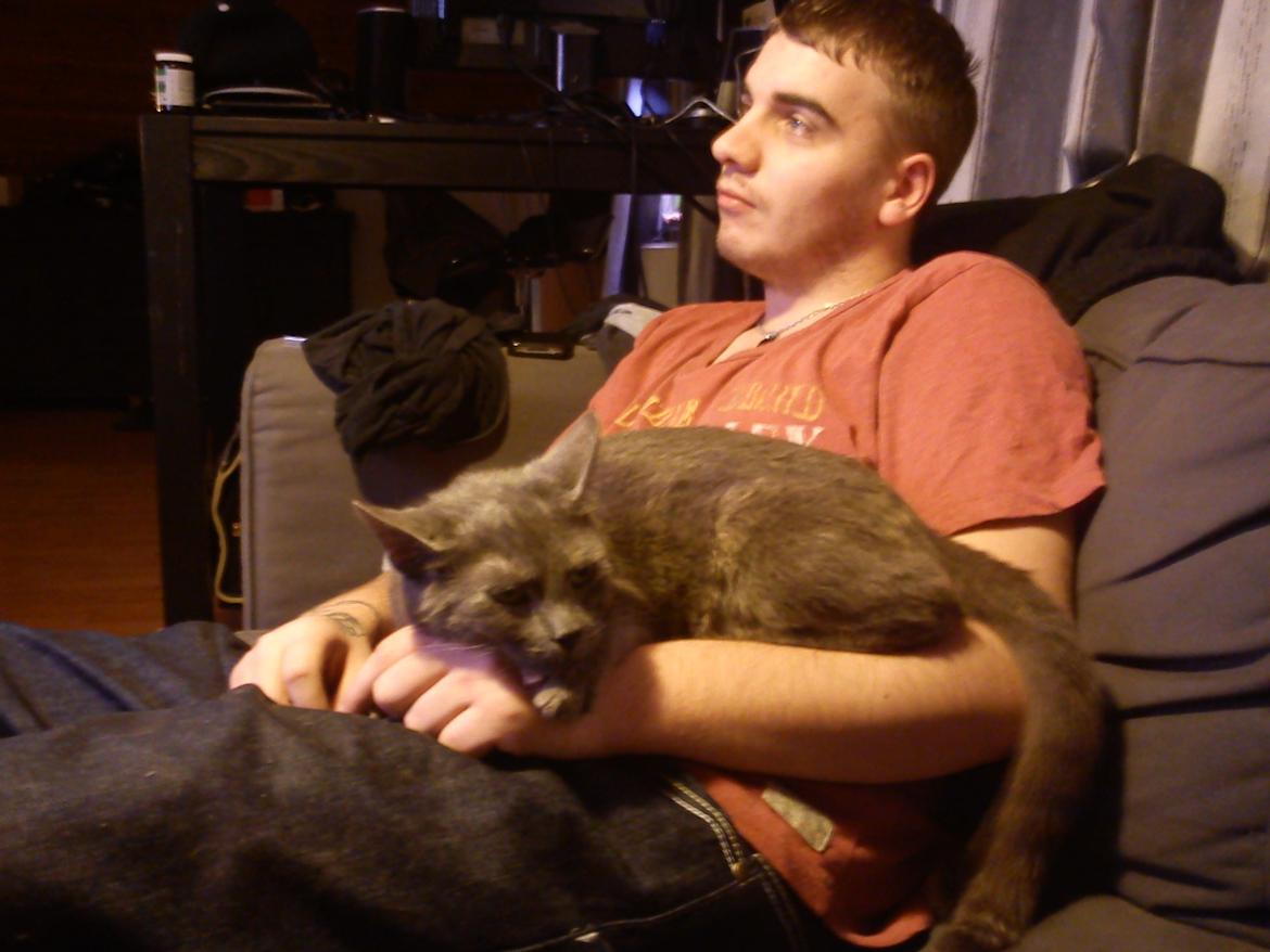 Blanding af racer lille fizzen billede 14