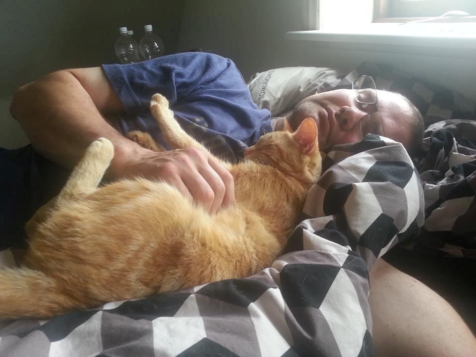 Huskat Røde Mis billede 6