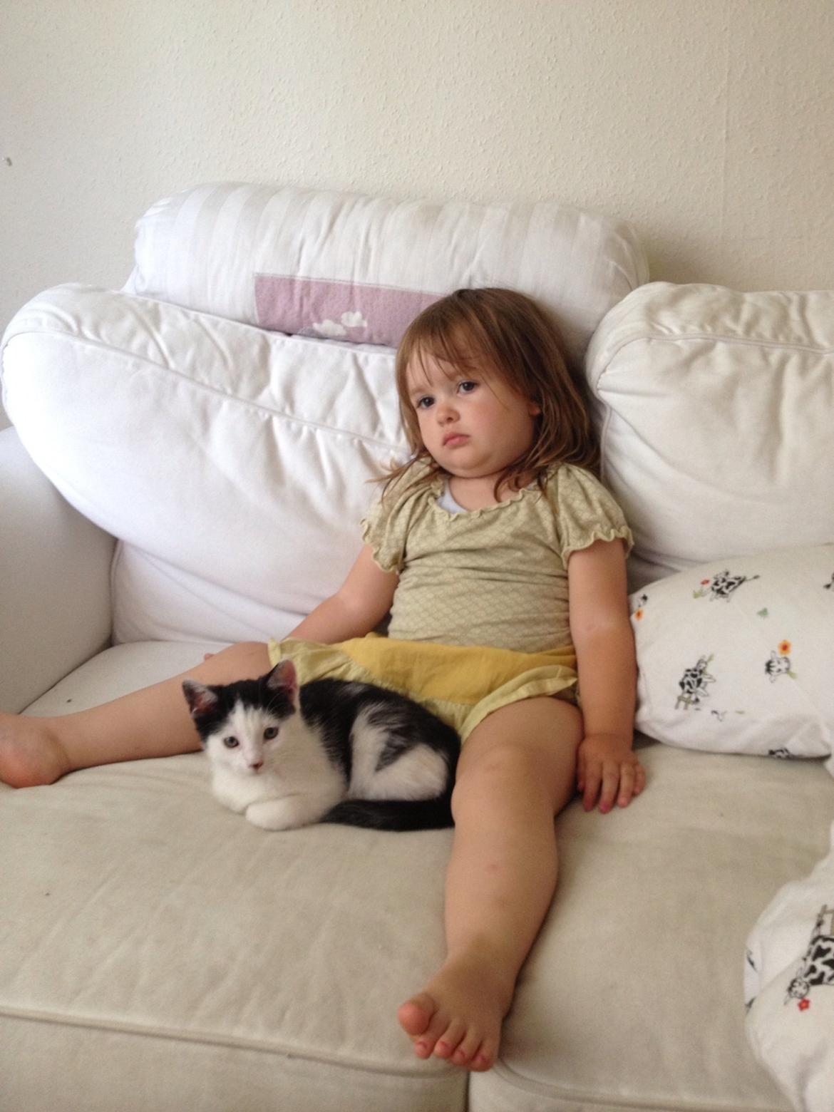 Huskat Ejner  billede 2