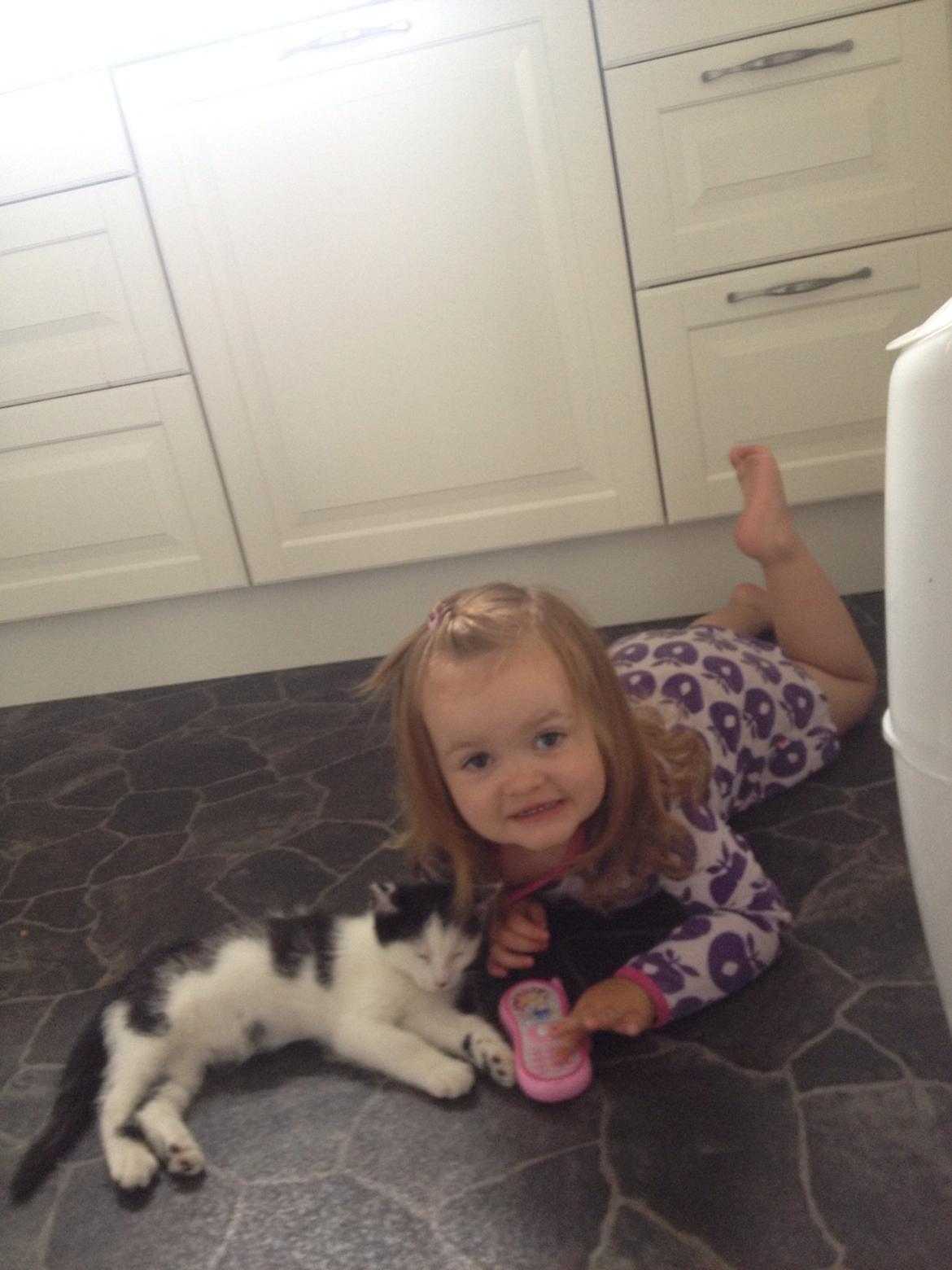 Huskat Ejner  billede 4