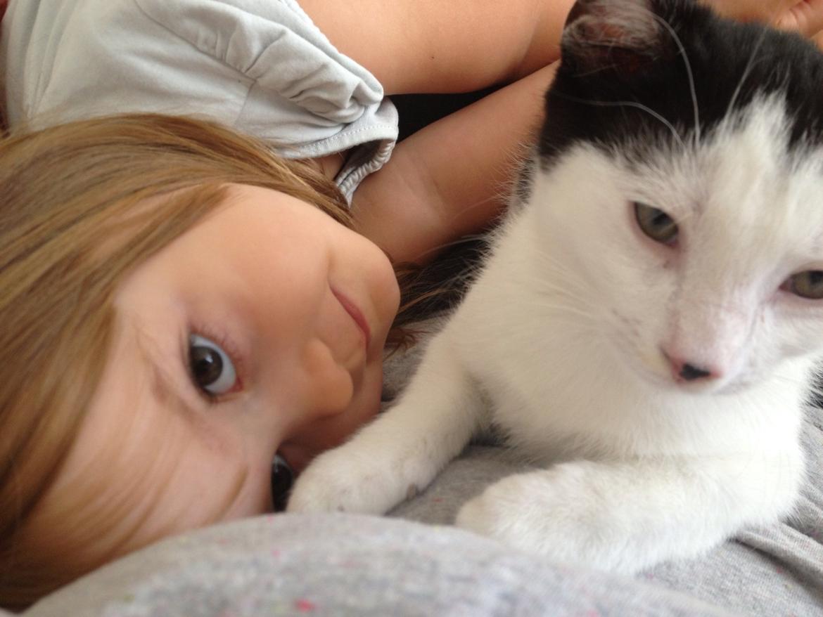 Huskat Ejner  billede 8