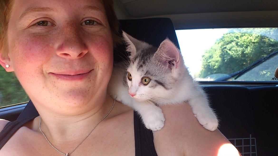 Huskat Jytte billede 2