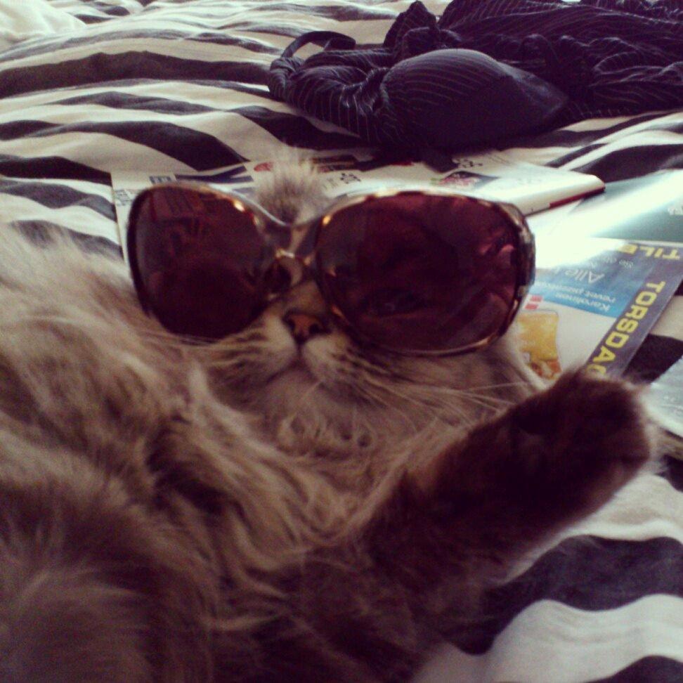 Blanding af racer Gucci - "Just smile and wave":) billede 20