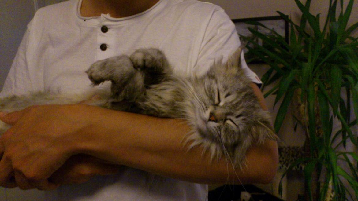 Blanding af racer Gucci - Elsker at få opmærksomhed:)  billede 22