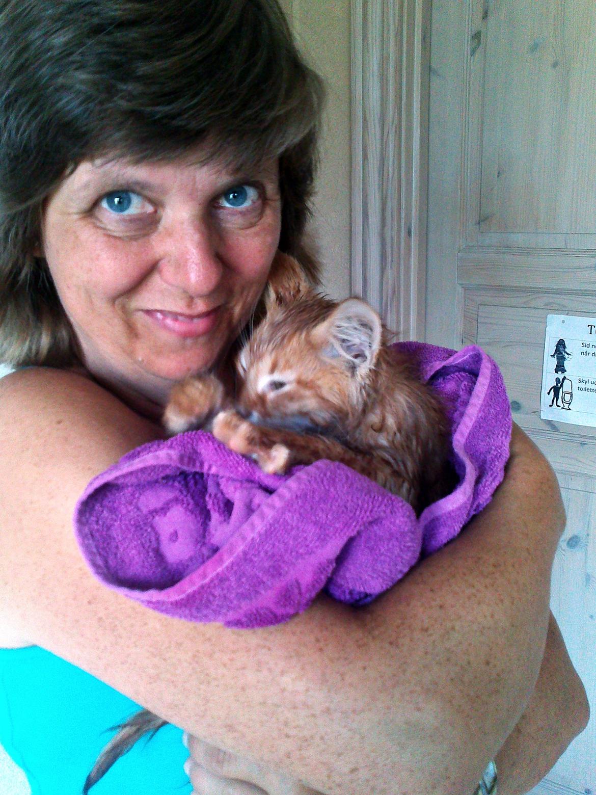 Blanding af racer Simba billede 7