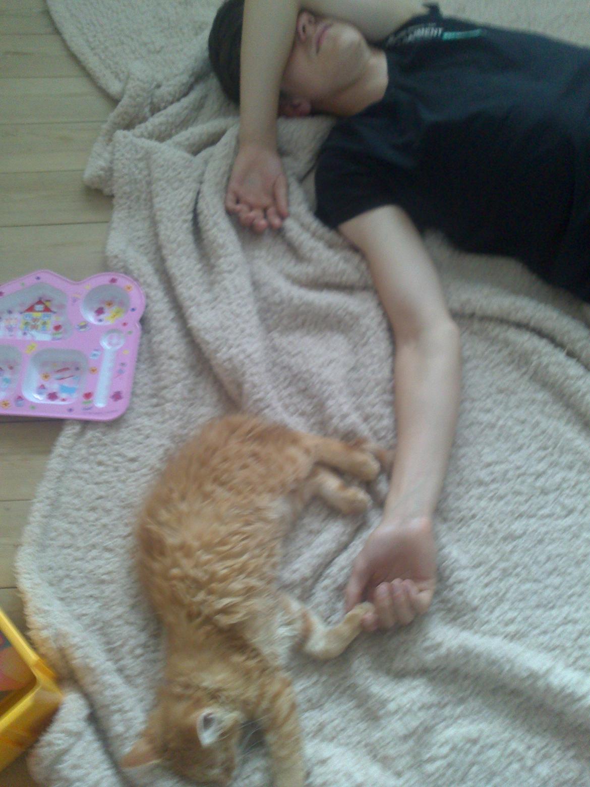 Blanding af racer Simba billede 10