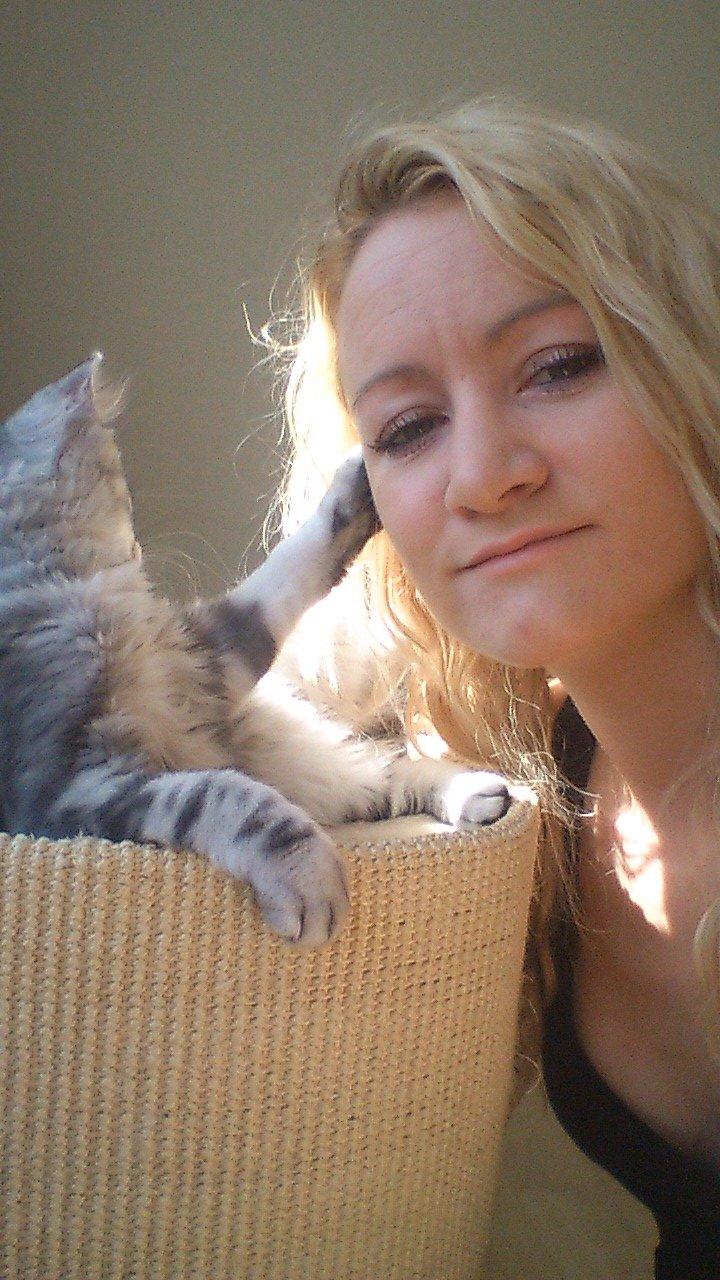 Blanding af racer Simba billede 9