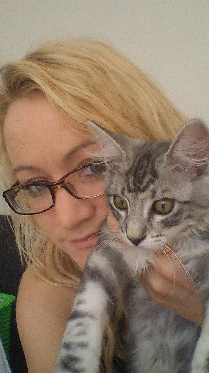 Blanding af racer Simba billede 16