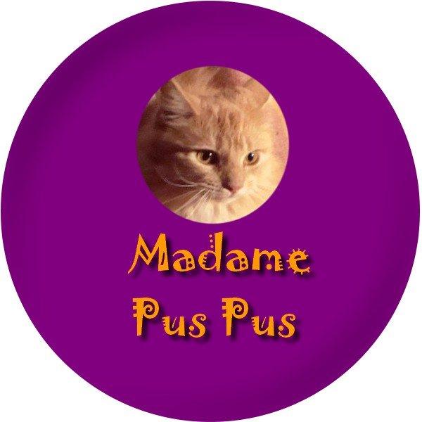 Maine Coon PusPus - Jeg er sandelig også kommet på badge billede 3