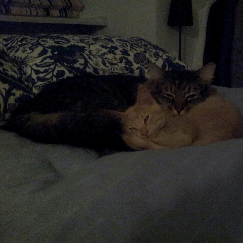 Blanding af racer Mickey billede 2