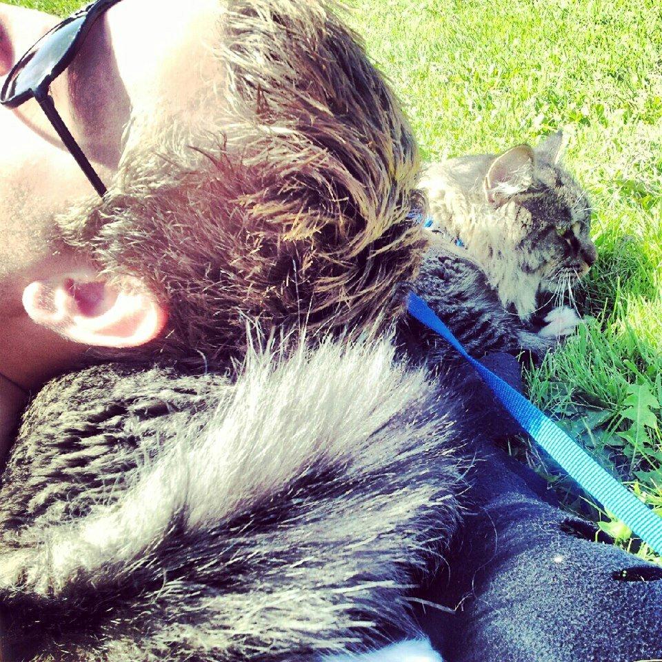 Blanding af racer William billede 15