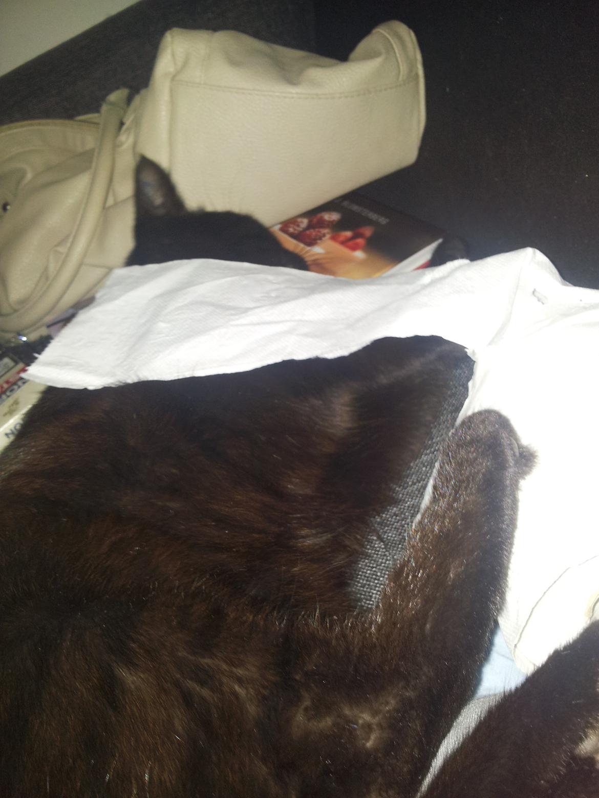 Huskat Mulle billede 6