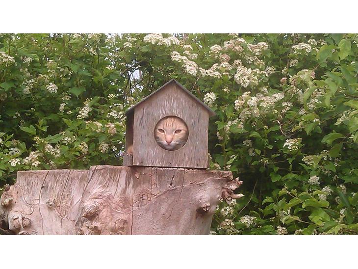 {{currentPhoto.altText}} billede {{currentPhoto.number}}