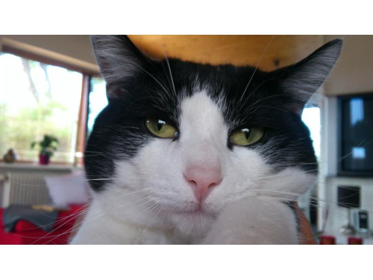 {{currentPhoto.altText}} billede {{currentPhoto.number}}