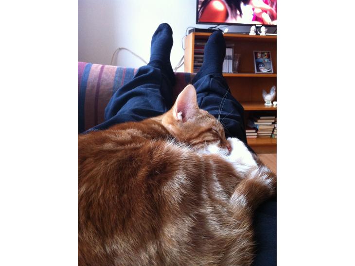 {{currentPhoto.altText}} billede {{currentPhoto.number}}