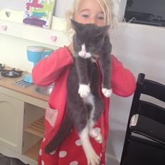 Huskat Oscar Clausen 