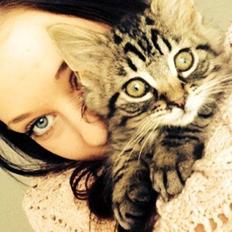 Blanding af racer Cosmo