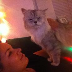 Blanding af racer Tozze -Tarzan