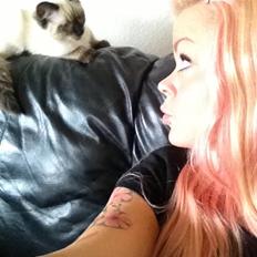 Ragdoll MisMis