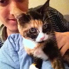 Blanding af racer Berta