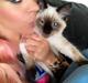 Ragdoll MisMis