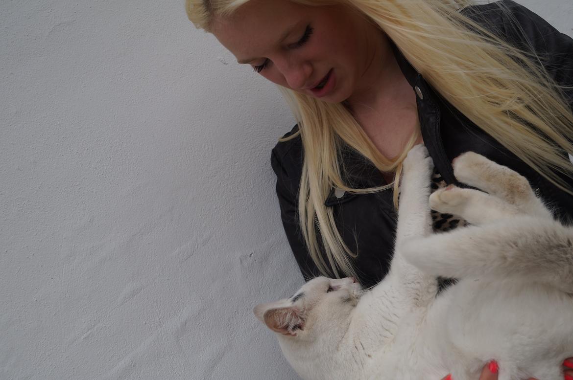 Huskat Djævlen <3 billede 8