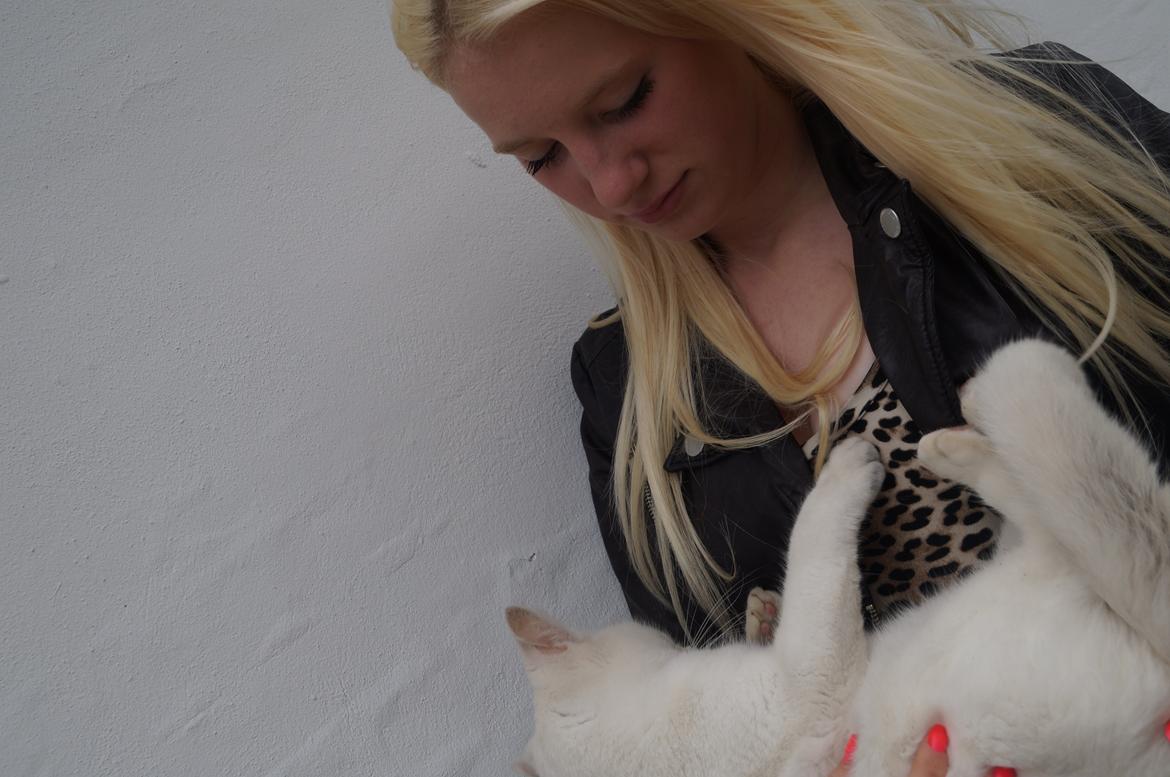 Huskat Djævlen <3 billede 9