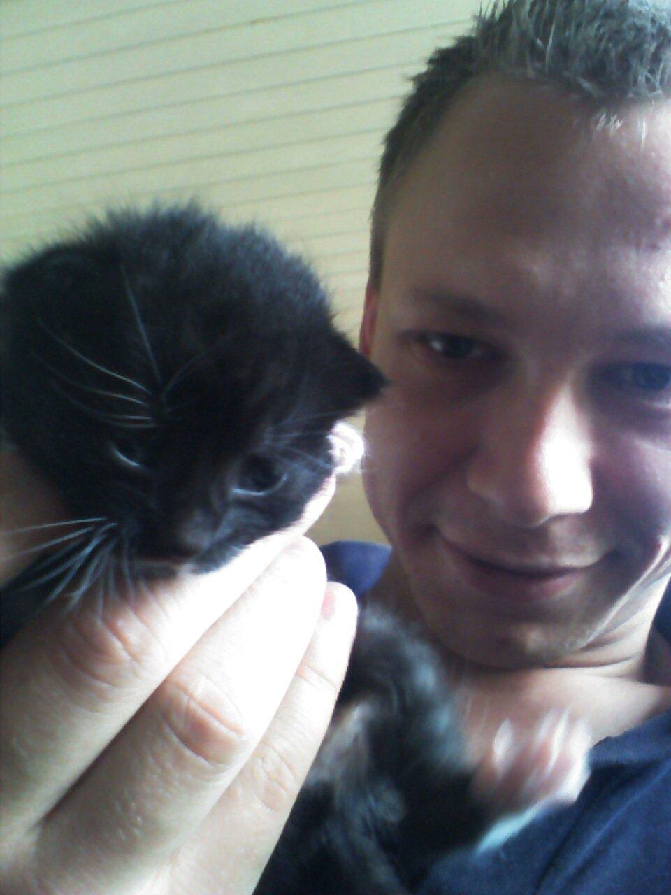 Huskat Bob d 2. billede 1