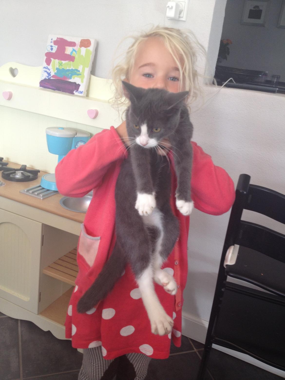 Huskat Oscar Clausen  billede 2