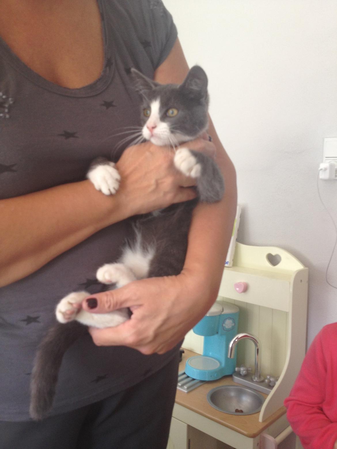 Huskat Oscar Clausen  billede 5