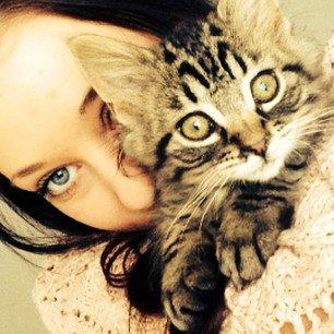 Blanding af racer Cosmo billede 3