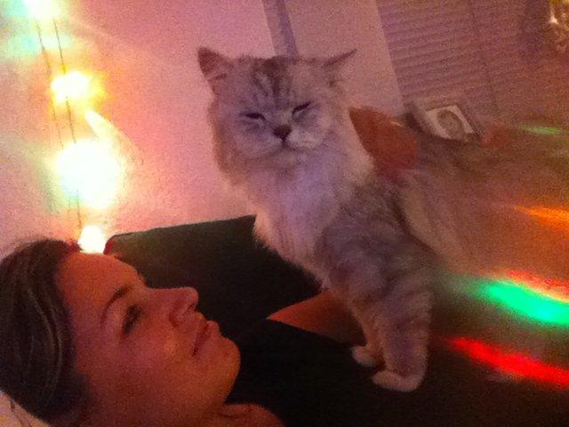 Blanding af racer Tozze -Tarzan billede 3