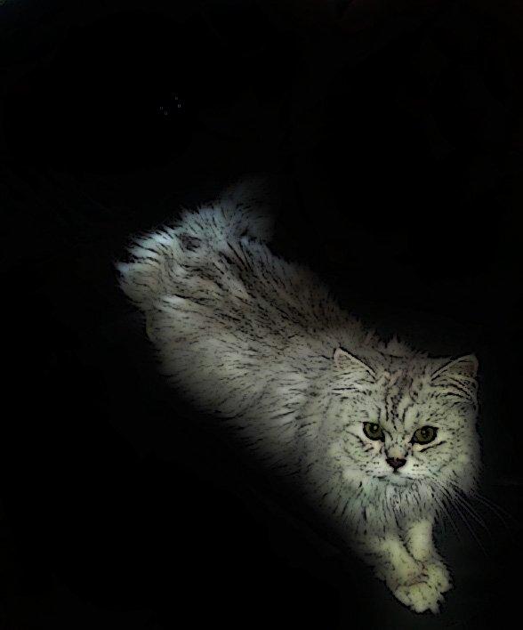 Blanding af racer Tozze -Tarzan billede 5