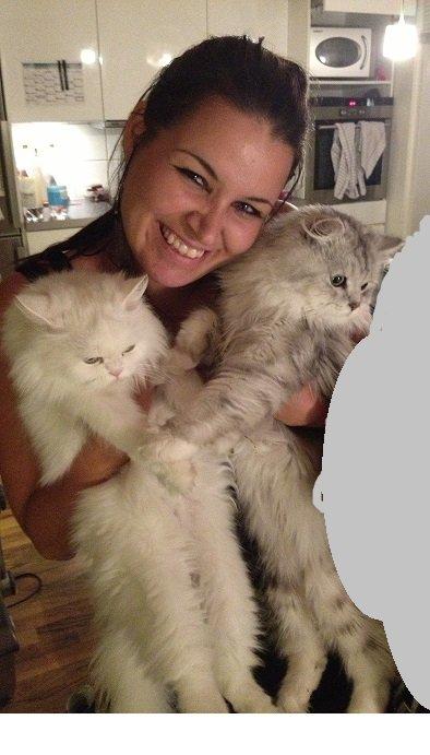 Blanding af racer Tozze -Tarzan - Mig og mine kittys. billede 6