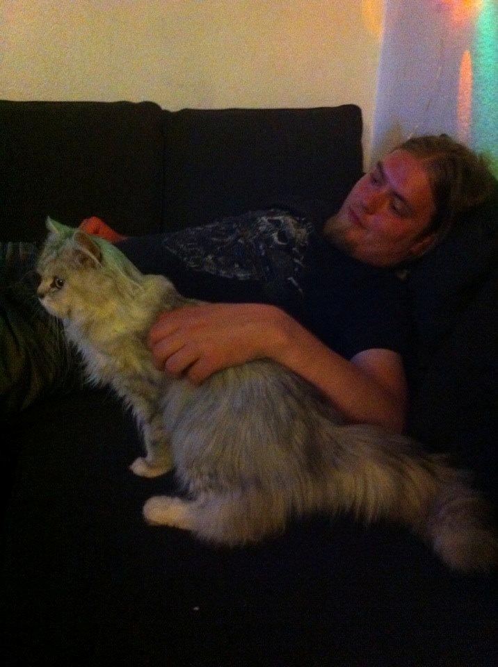 Blanding af racer Tozze -Tarzan billede 11