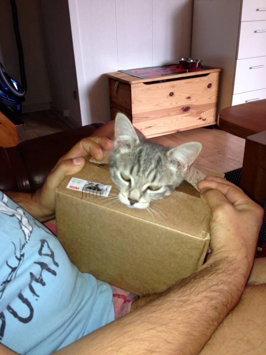 Huskat Mulle *the Diva* billede 15