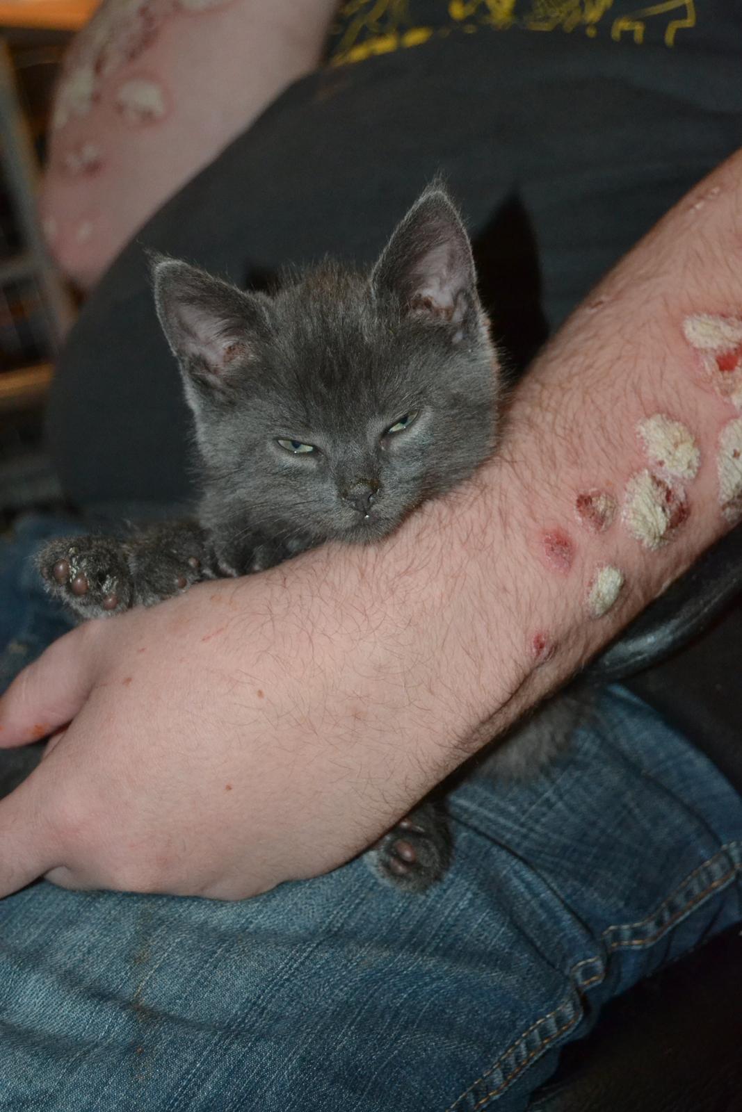 Huskat Faith Hittekilling billede 9