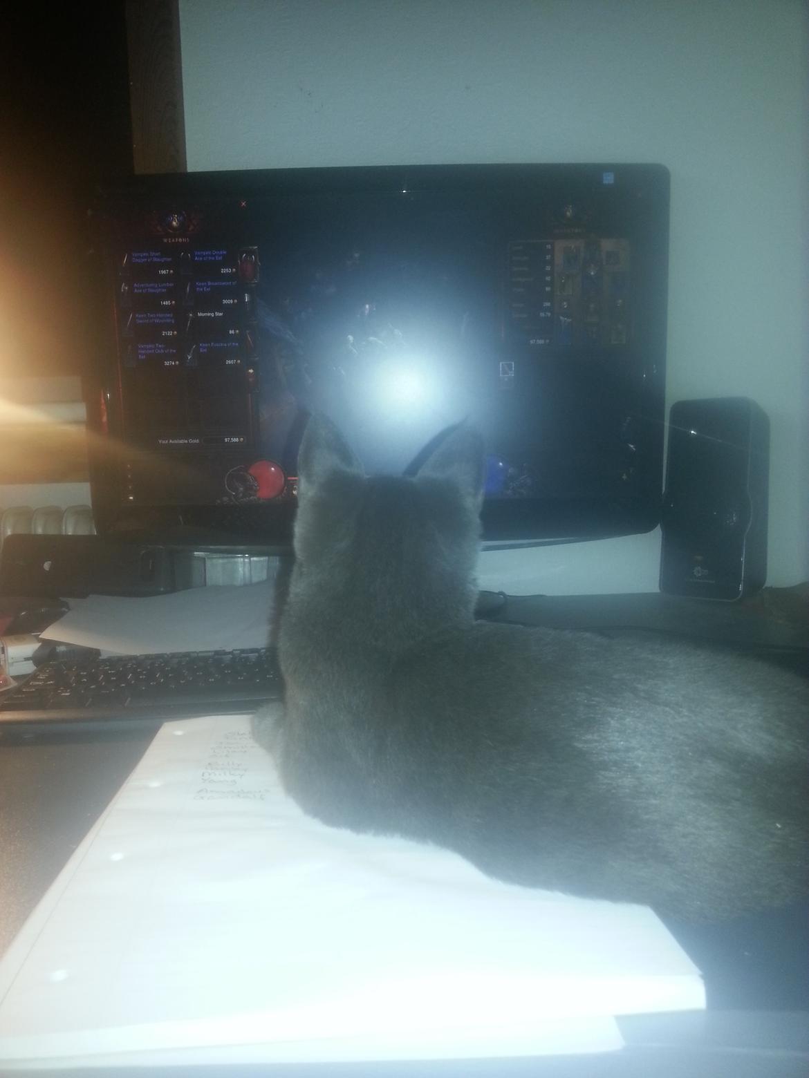 Huskat Faith Hittekilling billede 20