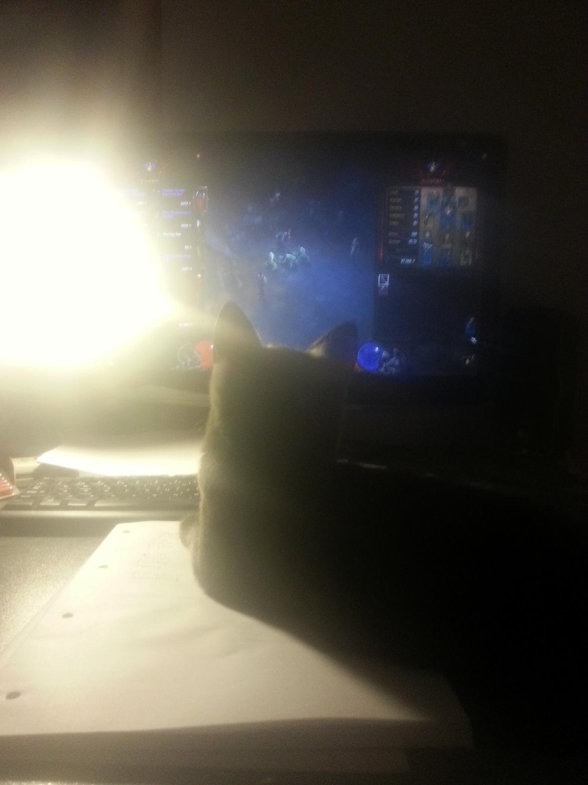 Huskat Faith Hittekilling billede 21