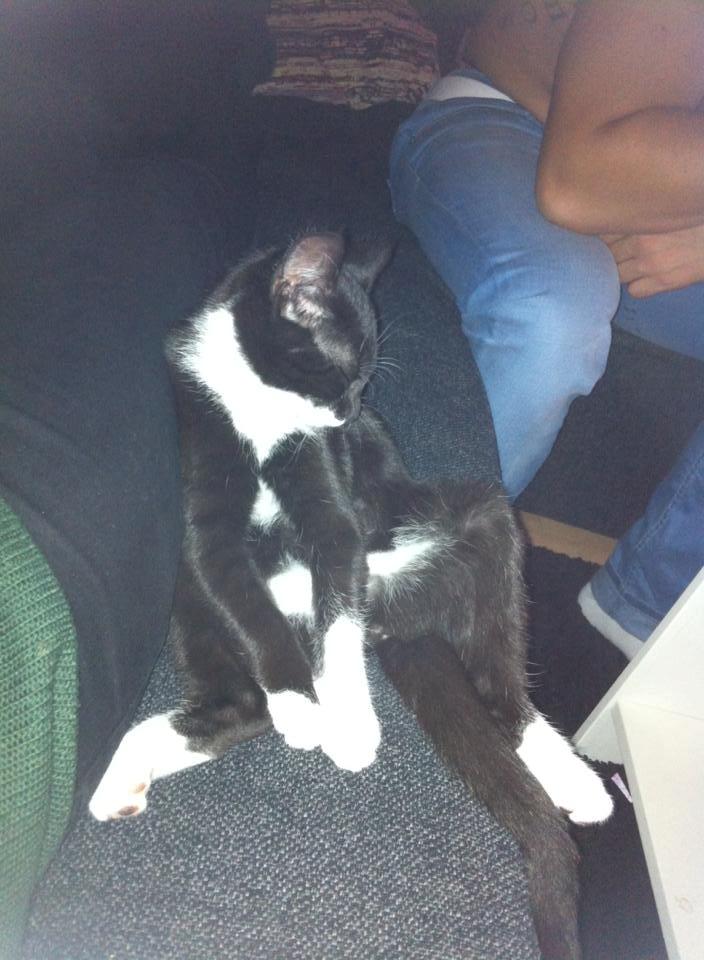 Huskat Bodil - OKAY! Jeg kunne ikke holde mig vågen! billede 2