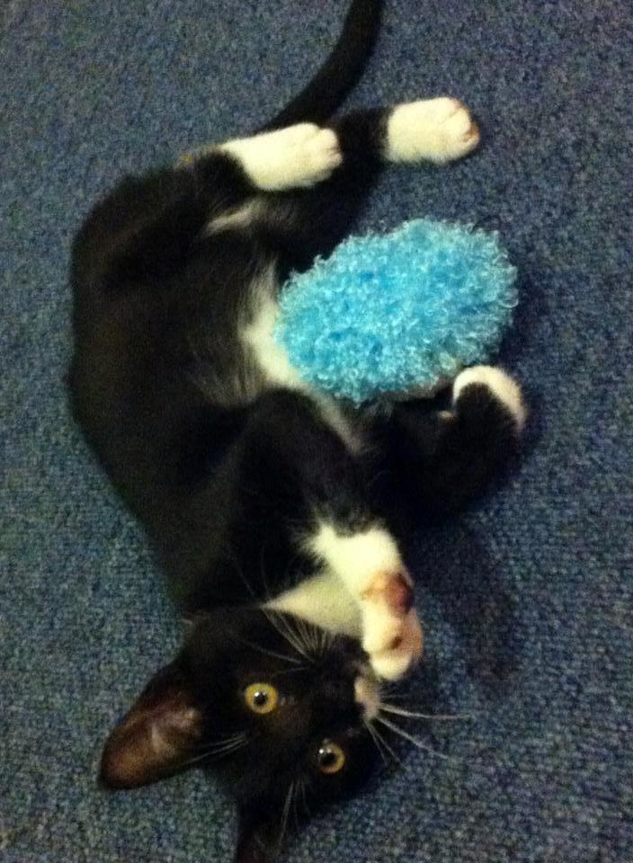 Huskat Bodil - Lille charmetrold <3 billede 4