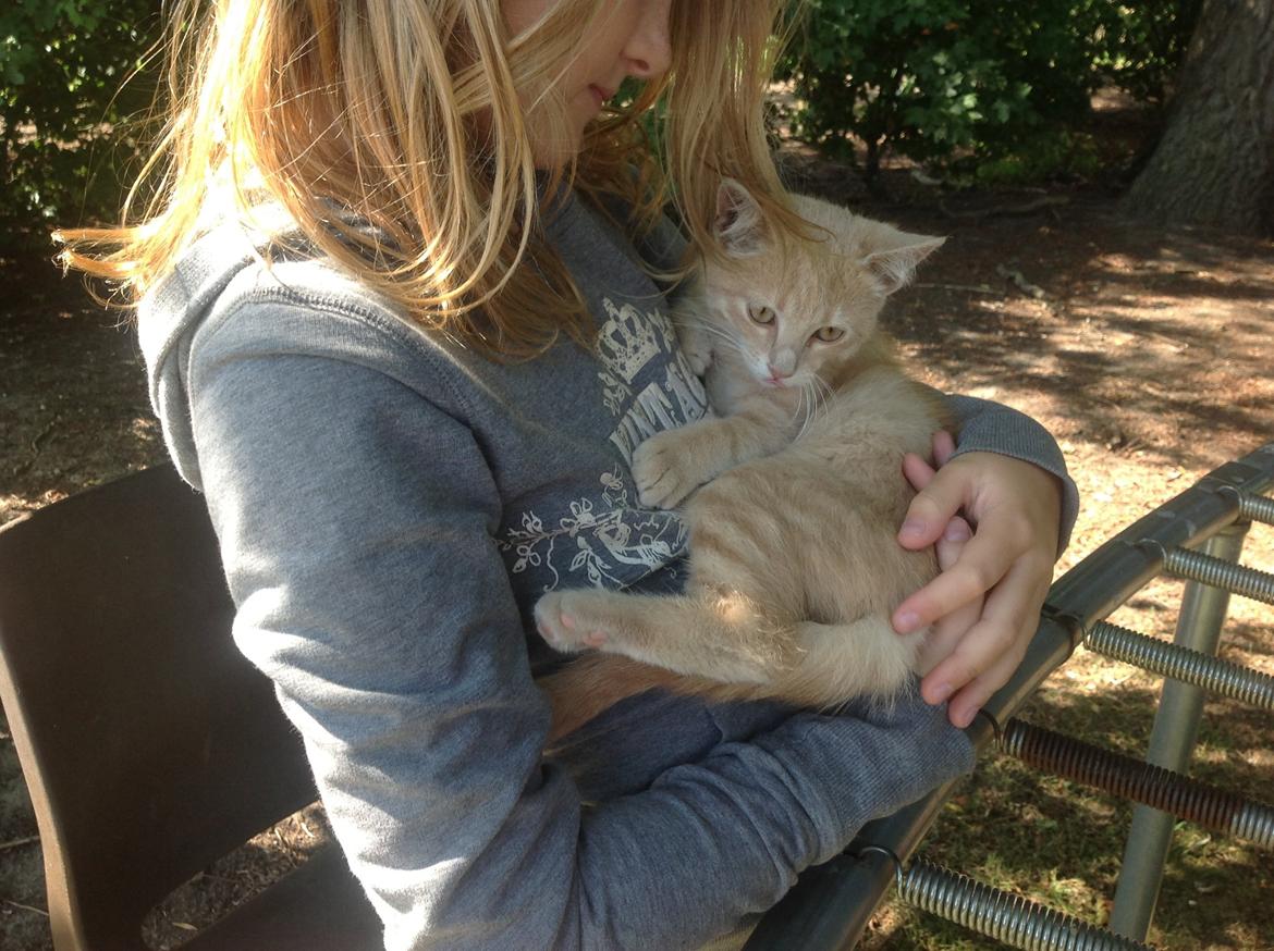 Huskat Mathilde<3 - Tag jer ikke af mig:-) billede 1