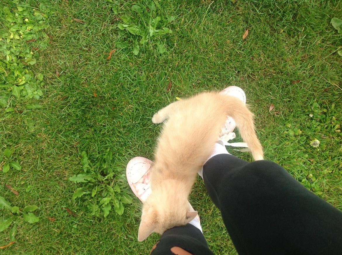 Huskat Mathilde<3 billede 3