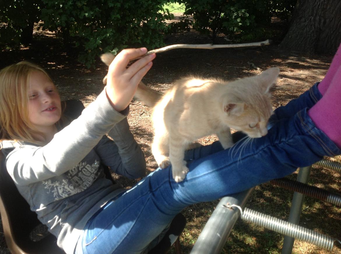 Huskat Mathilde<3 - ;-) billede 4