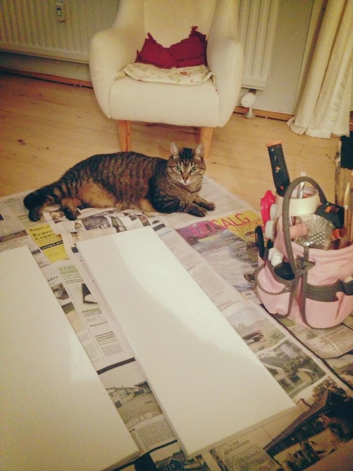 Blanding af racer Darling billede 7