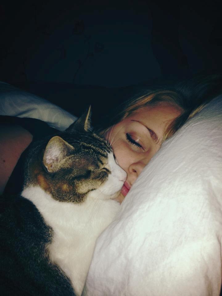 Blanding af racer Darling billede 16