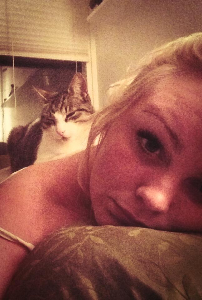 Blanding af racer Darling billede 22