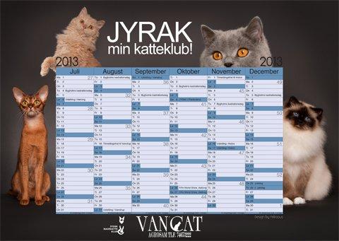 Selkirk Rex  DGC/ TGCA Lykken Curly Ronja - Ronja som model i Jyraks kalender 2013 billede 8
