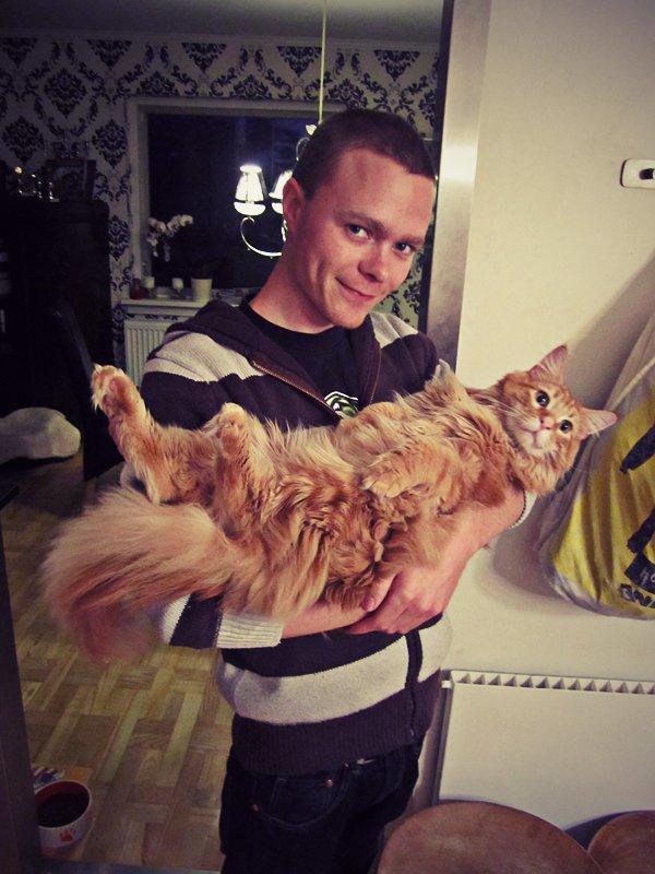 Blanding af racer Jean Pierre - 10 måneder gammel :) billede 11