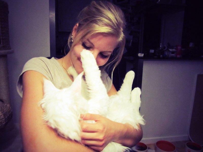 Maine Coon Charles billede 3